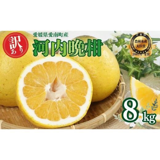ふるさと納税 果物類 愛媛県 愛南町 先行受付 河内晩柑 訳あり 8kg 発送 2026年 先行予約 樹齢25年以上 柑橘 かんきつ 蜜柑 みかん 愛南ゴールド サイズミッ…