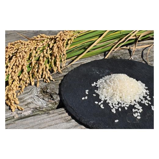 新入荷 ふるさと納税 山口県 長門市 (1615)お米 白米 精米 定期 ひとめぼれ 日置ノ庄 5kg 毎月コース お米の定期便 長門市 (1615) 【TMF8487717217】(29900円)