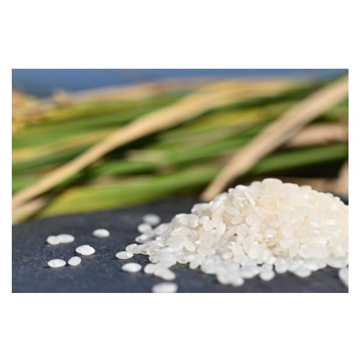 新入荷 ふるさと納税 山口県 長門市 (1615)お米 白米 精米 定期 ひとめぼれ 日置ノ庄 5kg 毎月コース お米の定期便 長門市 (1615) 【TMF8487717217】(29900円)