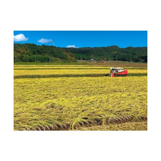 新入荷 ふるさと納税 山口県 長門市 (1615)お米 白米 精米 定期 ひとめぼれ 日置ノ庄 5kg 毎月コース お米の定期便 長門市 (1615) 【TMF8487717217】(29900円)