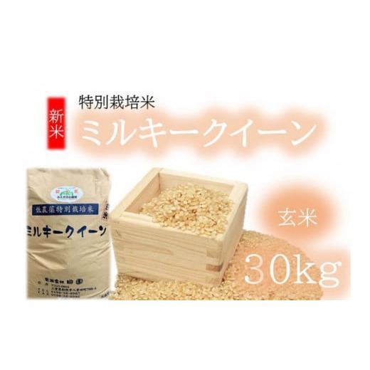 ふるさと納税 三重県 松阪市 【3-152】（新米）ミルキークイーン（特別栽培米）玄米 30kg 