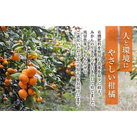 ふるさと納税 果物類 みかん 宮崎県 日南市 不知火 計4kg以上 傷み補償分入り 期間限定 数量限定 フルーツ 果物 くだもの 柑橘 みかん しらぬい 令和8年発送 …_2