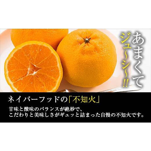 ふるさと納税 果物類 みかん 宮崎県 日南市 不知火 計4kg以上 傷み補償分入り 期間限定 数量限定 フルーツ 果物 くだもの 柑橘 みかん しらぬい 令和8年発送 …_3