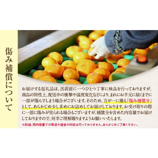ふるさと納税 果物類 みかん 宮崎県 日南市 不知火 計4kg以上 傷み補償分入り 期間限定 数量限定 フルーツ 果物 くだもの 柑橘 みかん しらぬい 令和8年発送 …_5