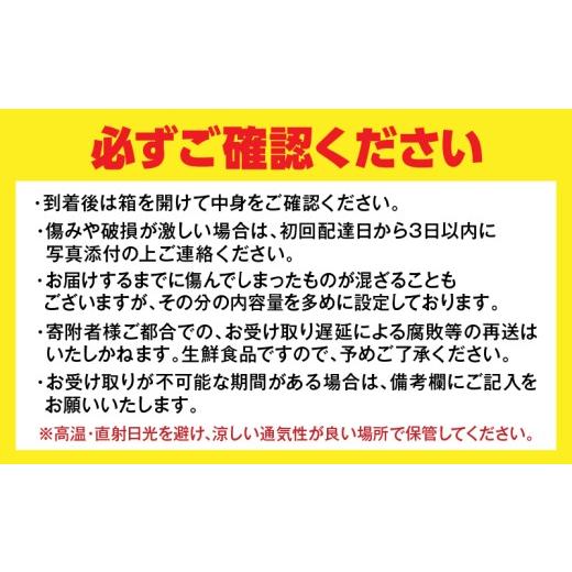 ふるさと納税 果物類 みかん 宮崎県 日南市 不知火 計4kg以上 傷み補償分入り 期間限定 数量限定 フルーツ 果物 くだもの 柑橘 みかん しらぬい 令和8年発送 …_6