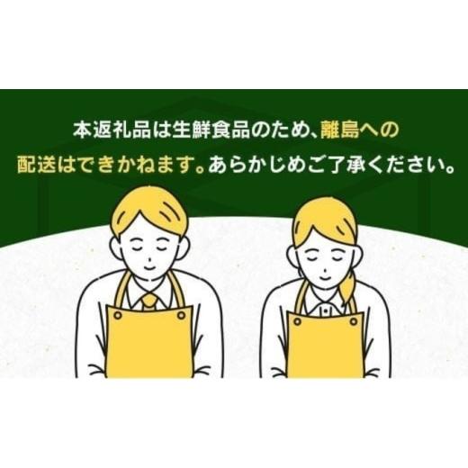 ふるさと納税 果物類 みかん 宮崎県 日南市 不知火 計4kg以上 傷み補償分入り 期間限定 数量限定 フルーツ 果物 くだもの 柑橘 みかん しらぬい 令和8年発送 …_7