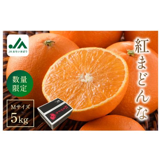 ふるさと納税 果物類 みかん 愛媛県 今治市 先行予約 ご家庭用 数量限定 紅まどんな 5kg(Mサイズ) K000550 11月下旬〜12月末順次発送予定 JAおちいまばり …