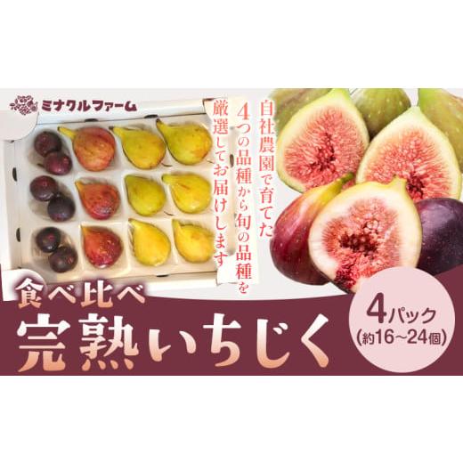 ふるさと納税 果物類 熊本県 苓北町 完熟いちじく 食べ比べ 4パック ( 16 〜 24個 ) フルーツ 果物 くだもの いちじく イチジク 無花果 完熟 熊本県 苓北町 ミ…