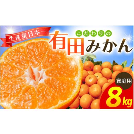 ふるさと納税 果物類 みかん 和歌山県 紀美野町 2025年11月発送予約分 農家直送 こだわりの有田みかん 約8kg+250g(傷み補償分) 有機質肥料100% サイズ混合 …
