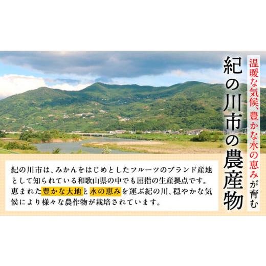 ふるさと納税 和歌山県 紀の川市 【訳あり／ご家庭用】はっさく 八朔 4kg＋1kg 計約5kg サンファーム《1月上旬-3月末頃より出荷予定》和歌山県 紀の川市 ご家…｜furusatochoice｜03