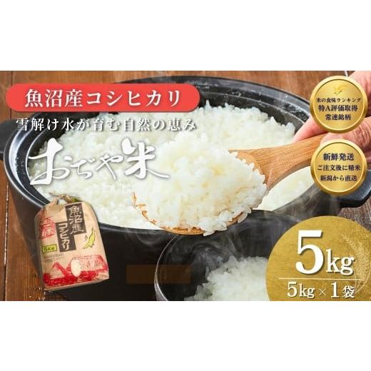 ふるさと納税 米 コシヒカリ 新潟県 小千谷市 注文後に精米する新鮮発送 令和7年産 新潟県 魚沼産コシヒカリ 計5kg 徹底した品質管理でお届け 新潟産コシヒカ…
