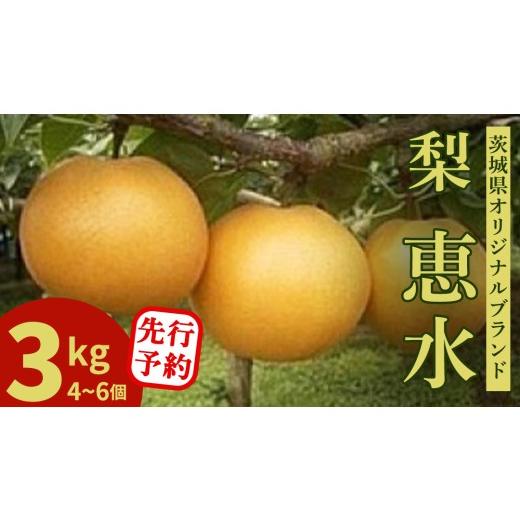 ふるさと納税 梨 茨城県 城里町 農家直送 梨 茨城県オリジナルブランド品種 恵水 大玉サイズ4〜6個(約3kg) 先行予約 2026年発送 完熟 フルーツ 果物 産地直送…