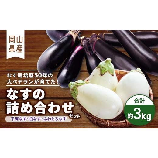 ふるさと納税 野菜類 茄子 岡山県 津山市 2026年7月以降発送 なす栽培歴50年の大ベテランが育てた"なすの詰め合わせセット約3kg " 1433408