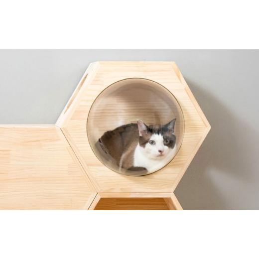 ふるさと納税 雑貨・日用品 大阪府 藤井寺市 ペット 猫ハウス＆キャットステップ六角BOX 大窓ボウル付き ／ ペット 猫 ハウス ステップ キャットウォーク キャ…_3