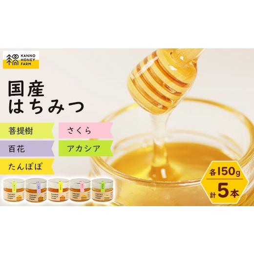 ふるさと納税 加工品等 はちみつ 北海道 訓子府町 菅野養蜂場　国産はちみつ150g　5種類欲張りセット 1056695_1