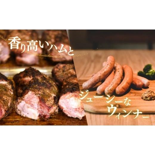 ふるさと納税 肉 ハム 新潟県 新潟市 メッツゲライテラ　セレクトファイブ