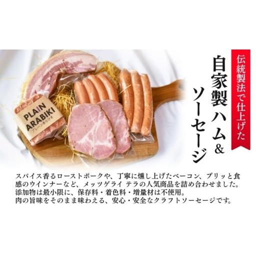 ふるさと納税 肉 ハム 新潟県 新潟市 メッツゲライテラ　セレクトファイブ