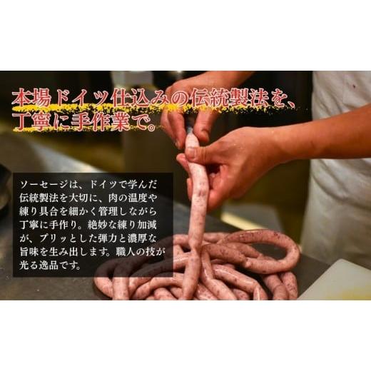 ふるさと納税 肉 ハム 新潟県 新潟市 メッツゲライテラ　セレクトファイブ