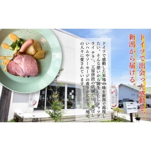 ふるさと納税 肉 ハム 新潟県 新潟市 メッツゲライテラ　セレクトファイブ