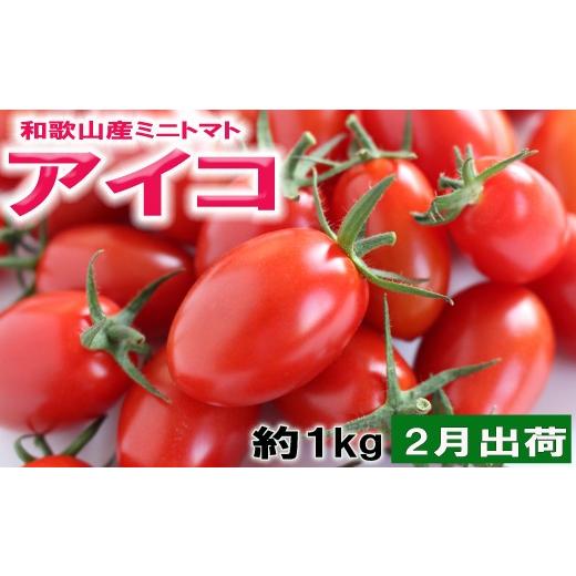 ふるさと納税 野菜類 トマト 和歌山県 紀美野町 2月出荷分 和歌山産 ミニトマト「アイコトマト」約1kg(M・Lサイズおまかせ) / トマト 野菜 北海道・沖縄・…