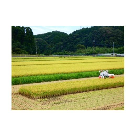 ふるさと納税 千葉県 御宿町 B411 御宿産コシヒカリ１５ｋg｜furusatochoice｜04