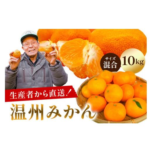 ふるさと納税 果物類 みかん 千葉県 南房総市 先行受付 2025年11月20日頃から順次発送 温州みかん 10kg サイズ混合 mi0032-0003-3 果物 フルーツ 果実 みかん…