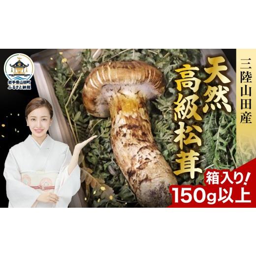 ふるさと納税 野菜類 きのこ 岩手県 山田町 2026年先行予約 9月中旬〜11月下旬発送予定 三陸山田産 高級松茸 1本入り ベルアクト 秋の味覚 三陸山田産松茸 三…
