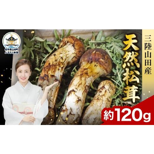 ふるさと納税 野菜類 きのこ 岩手県 山田町 2026年先行予約 9月中旬〜11月下旬発送予定 秋の味覚 三陸山田産 松茸 約120g 三陸山田 山田町 まつたけ マツタケ…