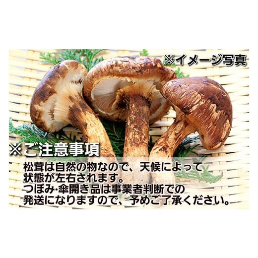 ふるさと納税 野菜類 きのこ 岩手県 山田町 2024年先行予約 秋の味覚