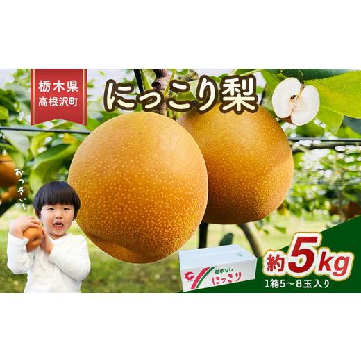 ふるさと納税 梨 栃木県 高根沢町 高根沢町産にっこり梨(約5kg・5〜8玉入り)| 梨 なし ナシ 果物 くだもの フルーツ 甘い 秋の味覚 産地直送 期間限定 季節…