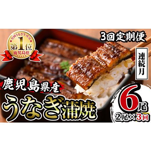 ふるさと納税 うなぎ 鹿児島県 出水市 i853-A 定期便・計3回(連続月) 鹿児島県産うなぎ蒲焼2尾セット (約140g×2・計約280g)×全3回 うなぎ 鰻 ウナギ 2尾 蒲…