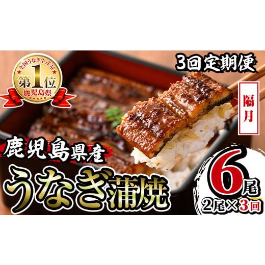 ふるさと納税 うなぎ 鹿児島県 出水市 i853-B 定期便・計3回(隔月) 鹿児島県産うなぎ蒲焼2尾セット (約140g×2・計約280g)×全3回 うなぎ 鰻 ウナギ 2尾 蒲焼…
