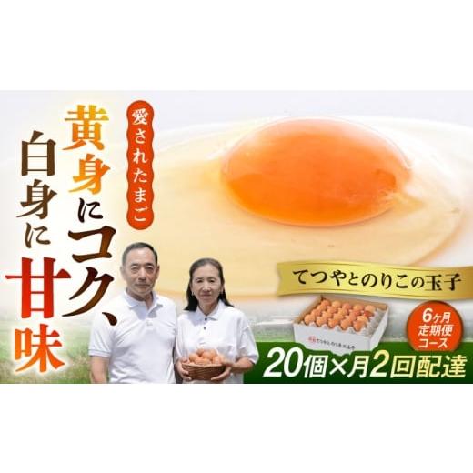 ふるさと納税 卵(鶏、烏骨鶏等) 福岡県 糸島市 [月2回 × 20個 6ヶ月コース] 15日・30日ごろ出荷 卵 てつやとのりこの玉子 全12回定期便 糸島市 / 板垣フ…