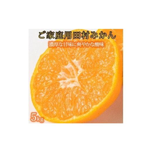 ふるさと納税 果物類 みかん 和歌山県 紀美野町 ご家庭用訳あり 田村みかん 5kg 2026年11月下旬頃〜2027年1月下旬頃に順次発送 / みかん 蜜柑 フルーツ 果…