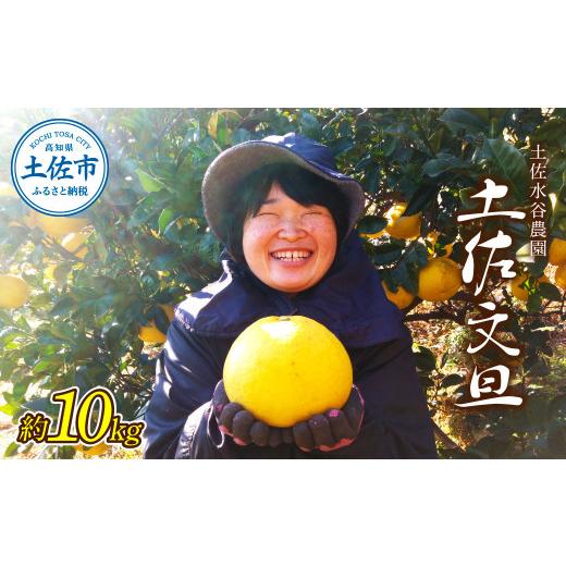 ふるさと納税 地域のお礼の品 高知県 土佐市 本場、高知県土佐市産 土佐水谷農園の露地土佐文旦 約10キロ 10kg(3L〜5L) 文旦 ぶんたん ブンタン 土佐文旦 柑…