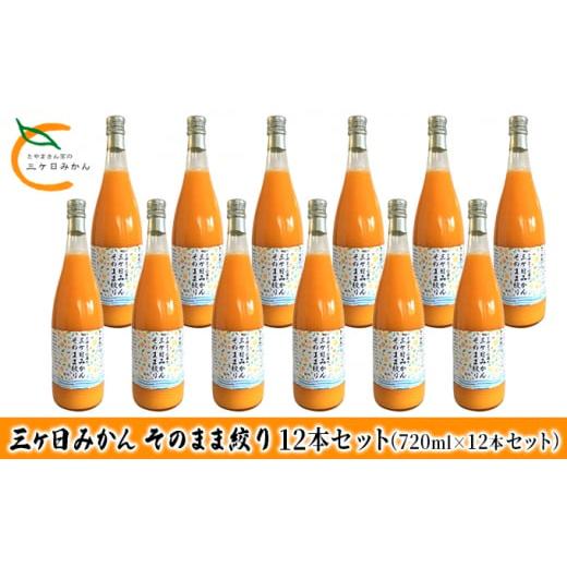 ふるさと納税 静岡県 浜松市 三ヶ日みかん そのまま絞り 12本セット（720ml×12本セット） みかん ジュース 100%[No.5786-5297]｜furusatochoice｜02