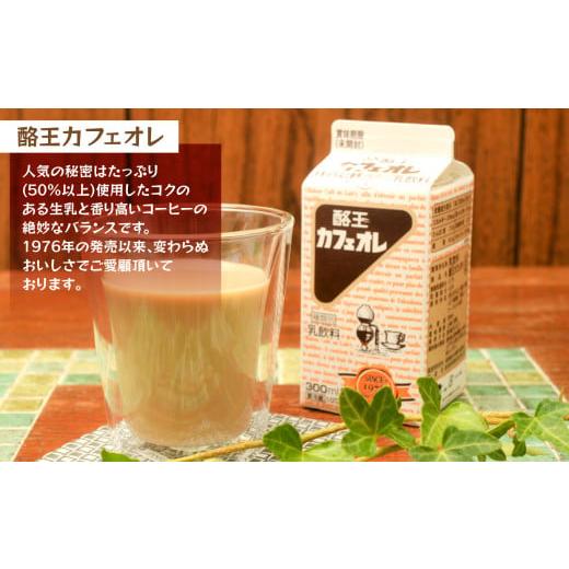 ふるさと納税 福島県 大玉村 酪王カフェオレ 9本セット（300ml×9本）【01131】 酪王 カフェ オレ コーヒー 生乳  福島｜furusatochoice｜04