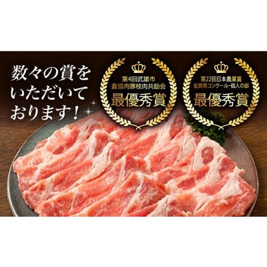 ふるさと納税 佐賀県 武雄市 【肉汁たっぷり】若楠三元豚ハンバーグ ( 150g × 8個 )／ナチュラルフーズ [UBH050] 豚肉 豚 肉 ハンバーグ 加工品 冷凍 小分け …｜furusatochoice｜06