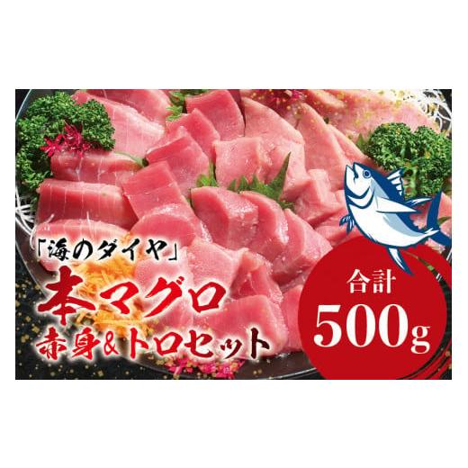 ふるさと納税 和歌山県 紀美野町 本マグロ(養殖)トロ&赤身セット500g [1か月以内に発送]/ 通常発送の他、年末発送 先行予約受付中 [通常発送(1か月…