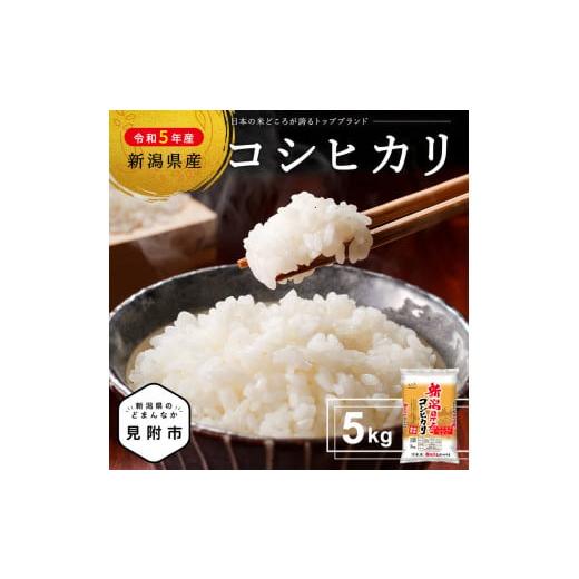 ふるさと納税 新潟県 見附市 米 5kg 新潟県産 コシヒカリ 令和5年産 新潟県産 精米したてをお届け 新潟のど真ん中 見附市 こしひかり