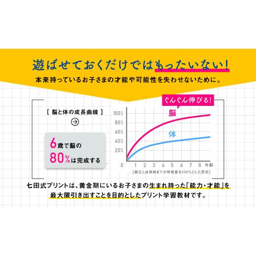ふるさと納税 雑貨・日用品 本 島根県 江津市  江津市限定返礼品 七田式プリントA 2歳半〜4歳 SC-49｜しちだ 七田式 七田式教育 七田式プリント 就学前 幼児 …_7