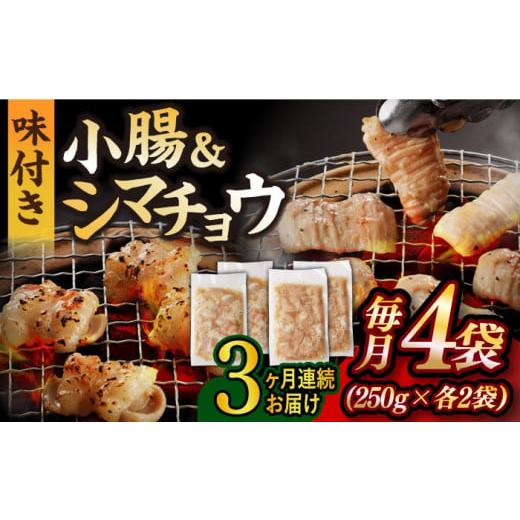 ふるさと納税 長崎県 長与町 [全3回定期便][塩だれ味] 九州産和牛 ホルモン 2種 計1kg( シマチョウ 250g×2袋・ 小腸 250g×2袋) 長与町/岩永ホルモン …