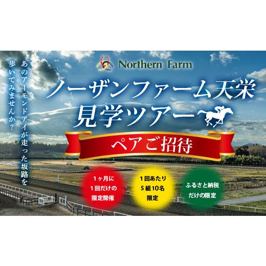 ふるさと納税 体験チケット 福島県 天栄村 月1回限定開催 ノーザンファーム天栄見学ツアー ペア招待(10月分) 記念品無し 期間限定 東北 福島県 天栄村 競馬 …