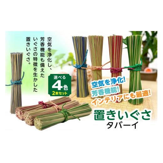 ふるさと納税 雑貨・日用品 熊本県 八代市 4色から2色選べるカラー 置きいぐさ(タバーイ)2本セット 赤×青 赤×青