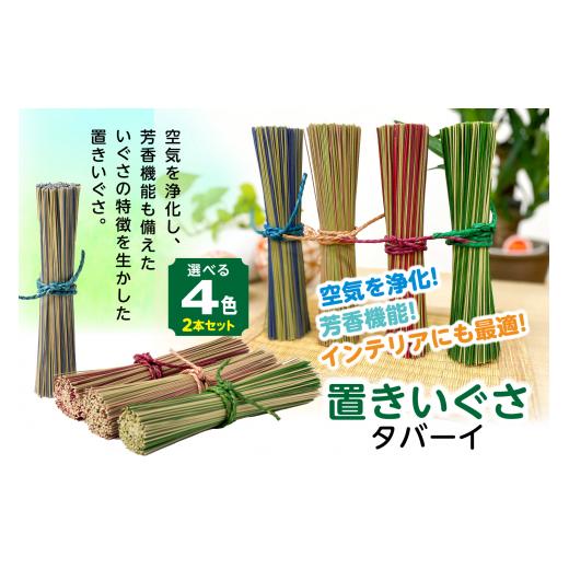 ふるさと納税 雑貨・日用品 熊本県 八代市 4色から2色選べるカラー 置きいぐさ(タバーイ)2本セット 青×青 青×青
