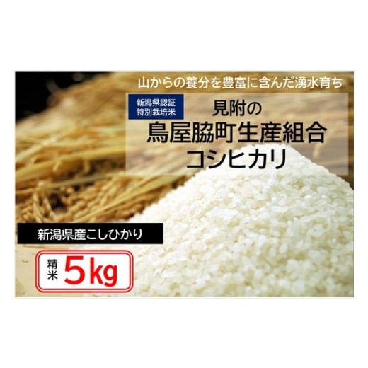 ふるさと納税 新潟県 見附市 米 5kg 新潟県産 コシヒカリ 特別栽培米 令和5年産 「鳥屋脇町生産組合コシヒカリ」 精米したてをお届け 新潟のど真ん中見附市 こ…