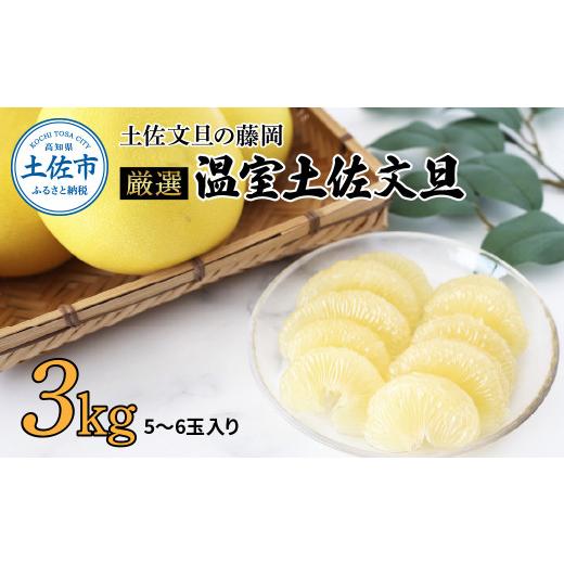ふるさと納税 みかん・柑橘類 高知県 土佐市 先行予約 厳選 温室土佐文旦 3kg (5〜6玉)[2026年11月下旬から発送]/文旦 ぶんたん ブンタン 土佐文旦 ハウ…