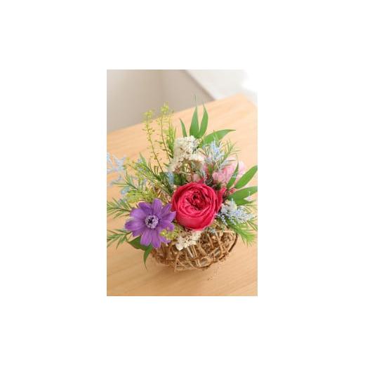 ふるさと納税 雑貨・日用品 花 徳島県 鳴門市 プリザーブドフラワー ルリ(ピンク) ピンク