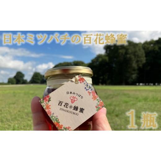 ふるさと納税 栃木県 下野市 No.230 日本ミツバチの百花蜂蜜(1瓶) / ハチミツ 純度100%国産 無添加 栃木県