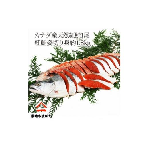 ふるさと納税 千葉県 いすみ市 天然紅鮭 1尾姿切身 甘塩 約1.8kg